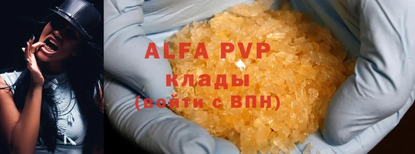гашик Абинск