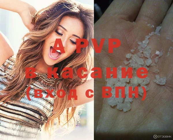 гашик Абинск