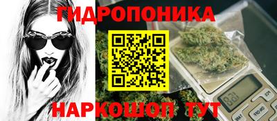 Альфа ПВП Тверь